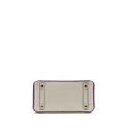 Hermes Birkin 25 Special Order Chèvre Mysore Gris Perle/Anemone LGHW