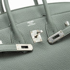 Hermes Birkin 25 Togo Vert Amande SHW