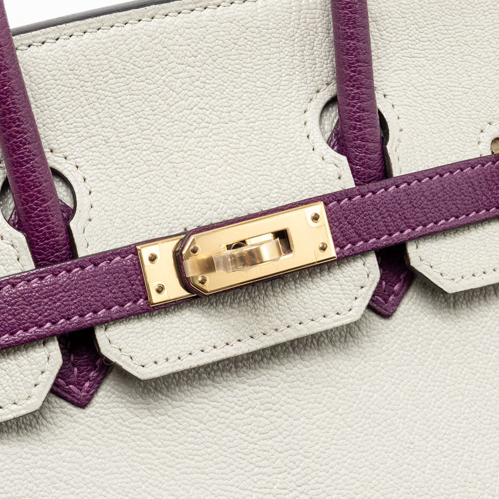 Hermes Birkin 25 Special Order Chèvre Mysore Gris Perle/Anemone LGHW