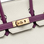 Hermes Birkin 25 Special Order Chèvre Mysore Gris Perle/Anemone LGHW