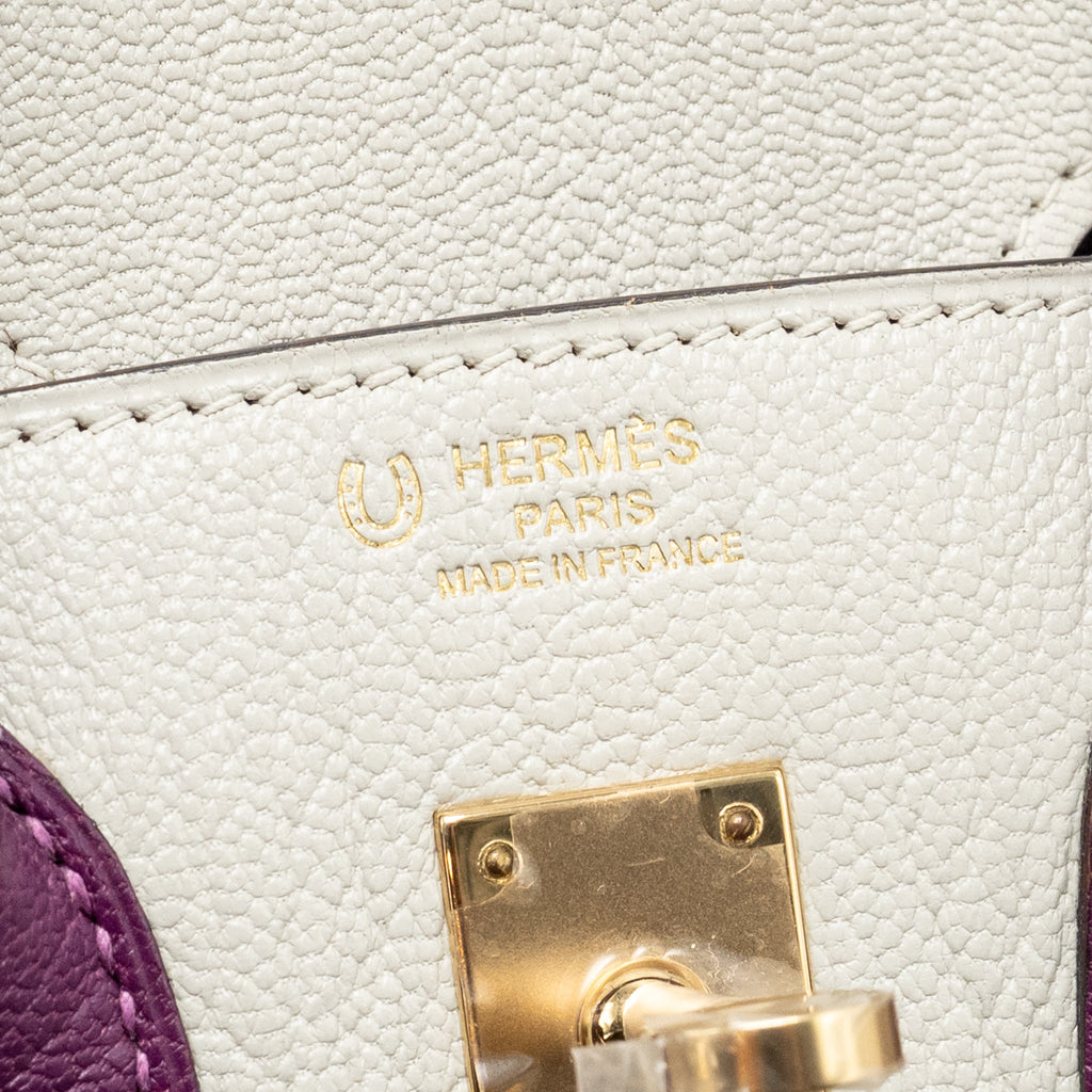 Hermes Birkin 25 Special Order Chèvre Mysore Gris Perle/Anemone LGHW