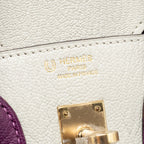 Hermes Birkin 25 Special Order Chèvre Mysore Gris Perle/Anemone LGHW