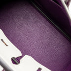 Hermes Birkin 25 Special Order Chèvre Mysore Gris Perle/Anemone LGHW