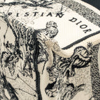 Dior medium book tote toile de jouy embroidery canvas White / Black