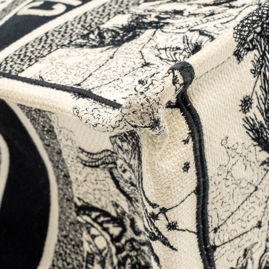 Dior medium book tote toile de jouy embroidery canvas White / Black
