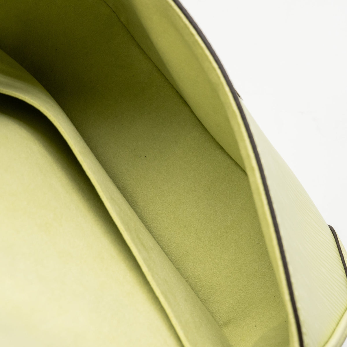 Louis Vuitton Buci NM Epi Leather Vert Noto SHW
