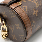Louis Vuitton Papillon Trunk monogram canvas/Leather GHW