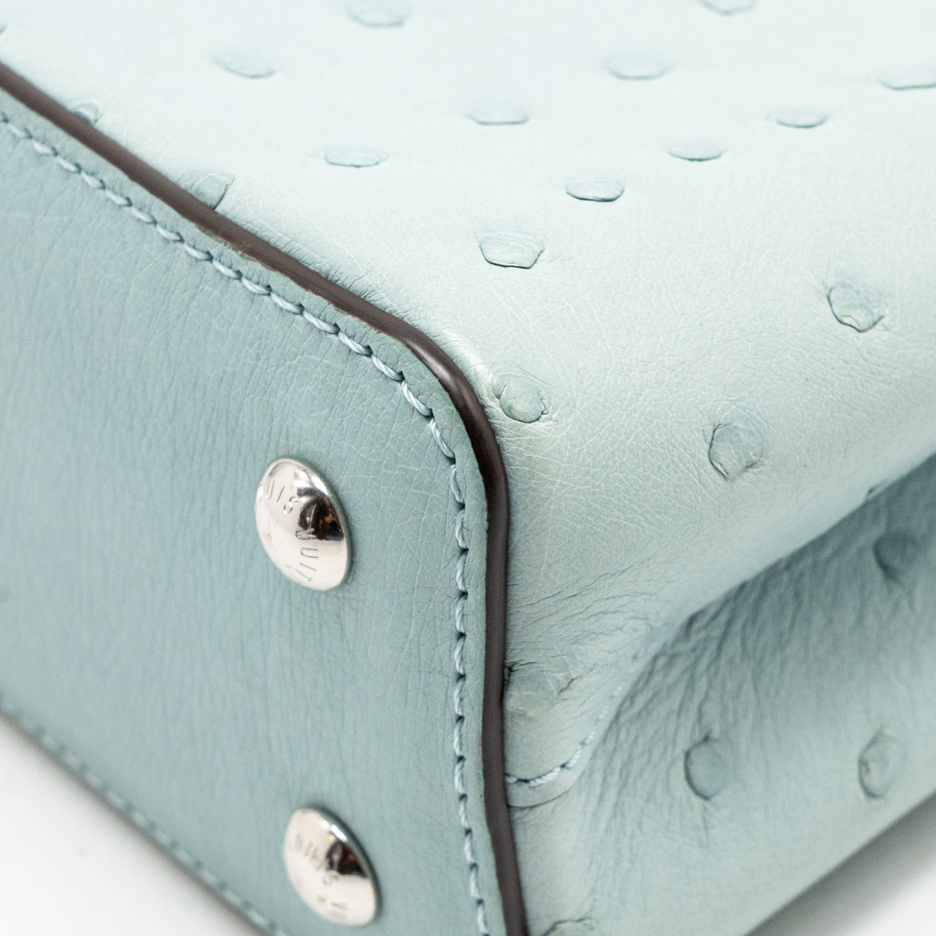 Louis Vuitton Mini Capucines Ostrich Light Blue SHW