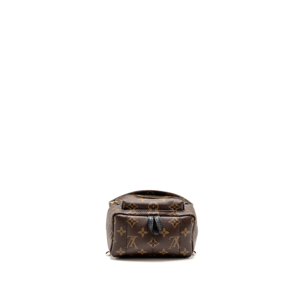 Louis Vuitton Palm Springs Mini Monogram Canvas/Leather Brown/Black GHW