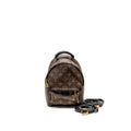 Louis Vuitton Palm Springs Mini Monogram Canvas/Leather Brown/Black GHW