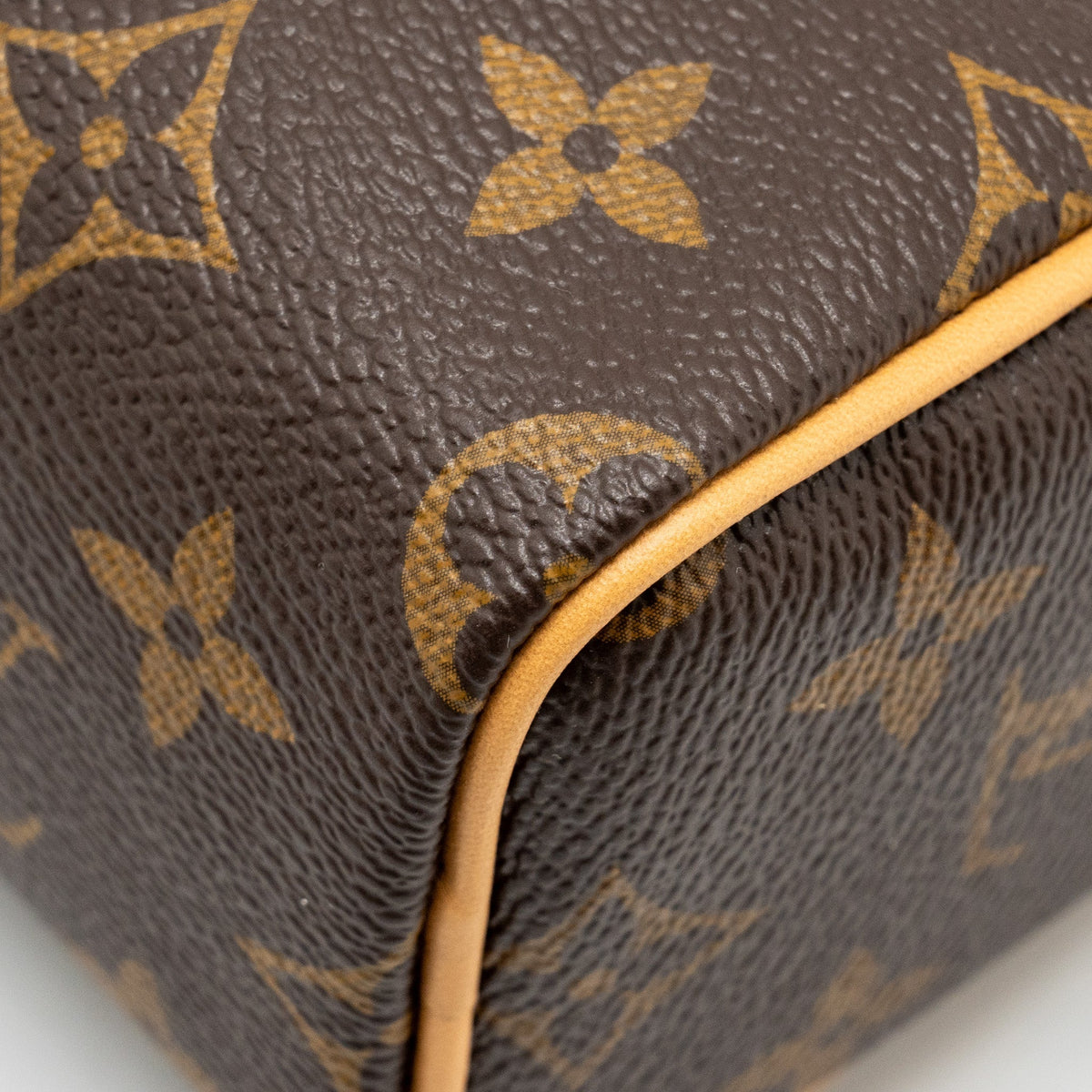 LOUIS VUITTON NANO SPEEDY MONOGRAM CANVAS GHW