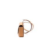 Hermes Della Cavalleria Mini Bag Epsom Gold SHW