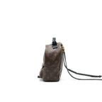 LOUIS VUITTON MINI PALM SPRINGS BAG MONOGRAM CANVAS