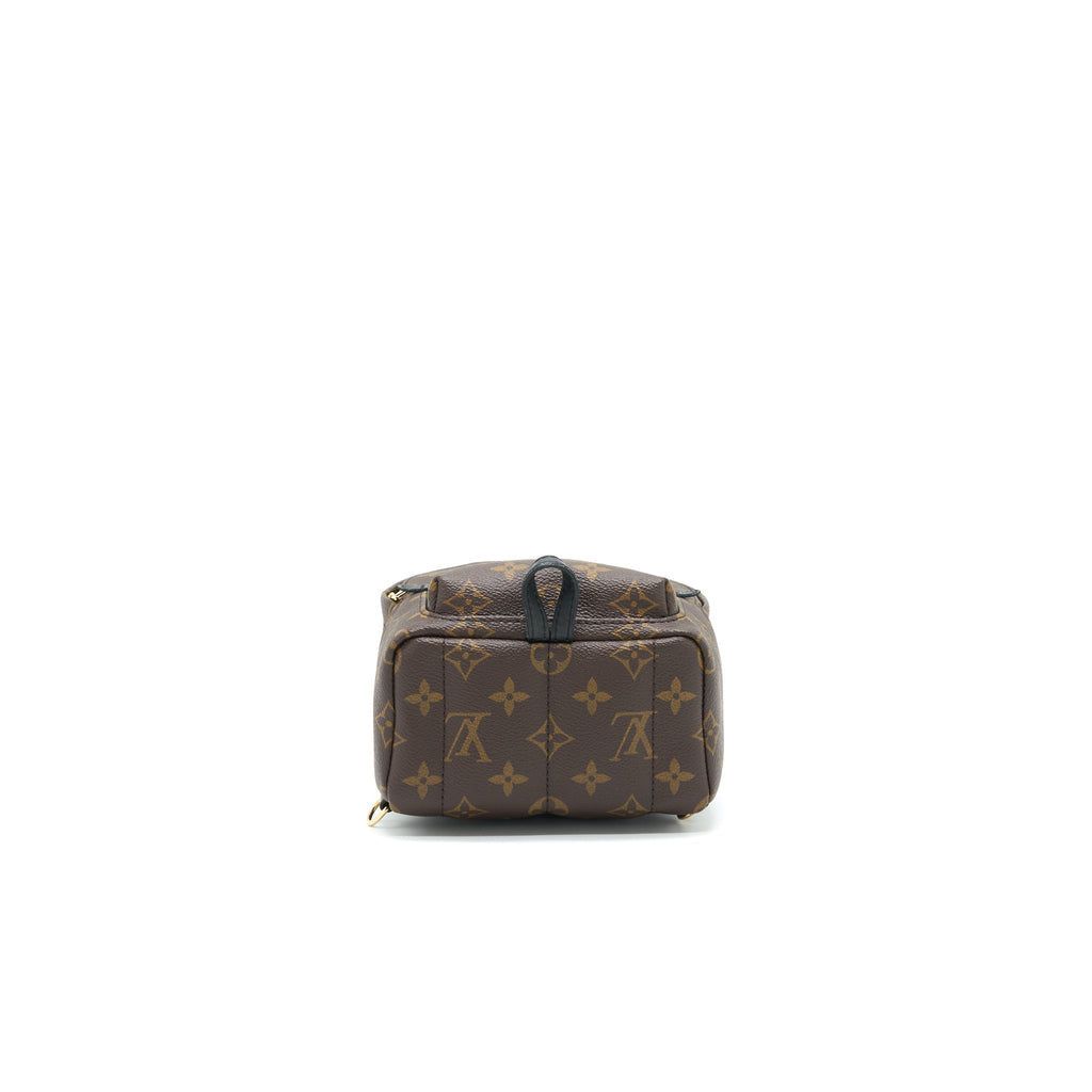 LOUIS VUITTON PALM SPRINGS MINI BACKPACK OLD VERSION