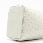 Hermes Micro Picotin 14 lock bag ostrich Gris Perle SHW