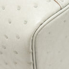 Hermes Micro Picotin 14 lock bag ostrich Gris Perle SHW