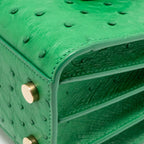 Saint Laurent/YSL Nano Sac de Jour Tote Ostrich Green GHW