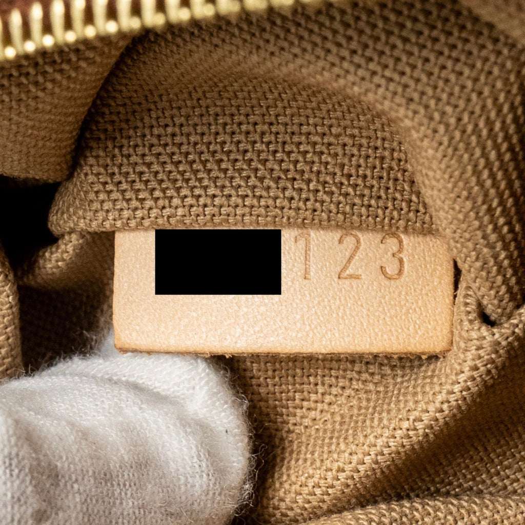 LOUIS VUITTON DELIGHTFUL TOTE BAG MONOGRAM CANVAS GHW