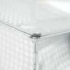 DIOR MEDIUM DIORMA METALLIC SILVER WITH SHW