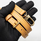 LOUIS VUITTON NANO SPEEDY MONOGRAM CANVAS GHW