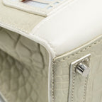 Hermes Birkin 20 Faubourg Snow Matt Alligator / Togo / Epsom/ Swift beton SHW