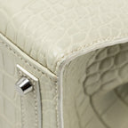 Hermes Birkin 20 Faubourg Snow Matt Alligator / Togo / Epsom/ Swift beton SHW