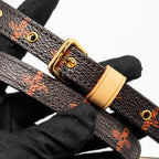 LOUIS VUITTON CATOGRAM PANAME SET MONOGRAM CANVAS MULTICOLOUR GHW
