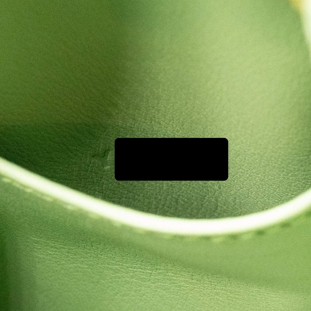 Hermes Mini Lindy Swift Vert Criquet GHW