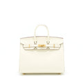 Hermes Birkin 25 Epsom Nata GHW
