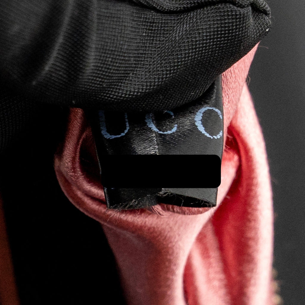 Gucci Medium GG Marmont Shoulder Bag Velvet Black GHW