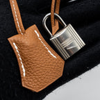 Hermes kelly 25 togo gold SHW