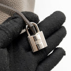 Hermes Picotin 22 Lock Bag Clemence Gris Etain SHW