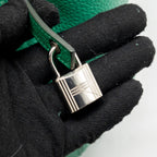 Hermes Picotin 22 Lock Bag Clemence Vert Vertigo SHW