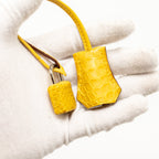 Hermes Birkin 25 Alligator Mississippiensis Mat 9D Jaune Ambre SHW