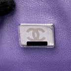 Chanel Medium Classic Double Flap Bag Lambskin IRIDESCENT Purple SHW (Microchip)
