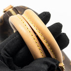 LOUIS VUITTON NANO SPEEDY MONOGRAM CANVAS GHW (OLD VERSION)