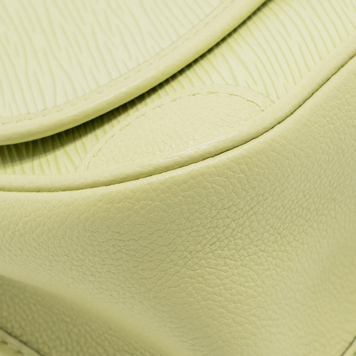 Louis Vuitton Buci NM Epi Leather Vert Noto SHW