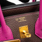 Hermes Birkin 25 Togo Chocolate / Rose Pourpre Brushed GHW