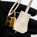 HERMES BIRKIN 25 EPSOM CRAIE GHW