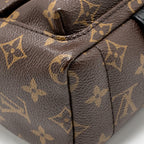 Louis Vuitton Palm Springs Mini Monogram Canvas/Leather Brown/Black GHW