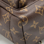 Louis Vuitton Palm Springs Mini Monogram Canvas/Leather Brown/Black GHW