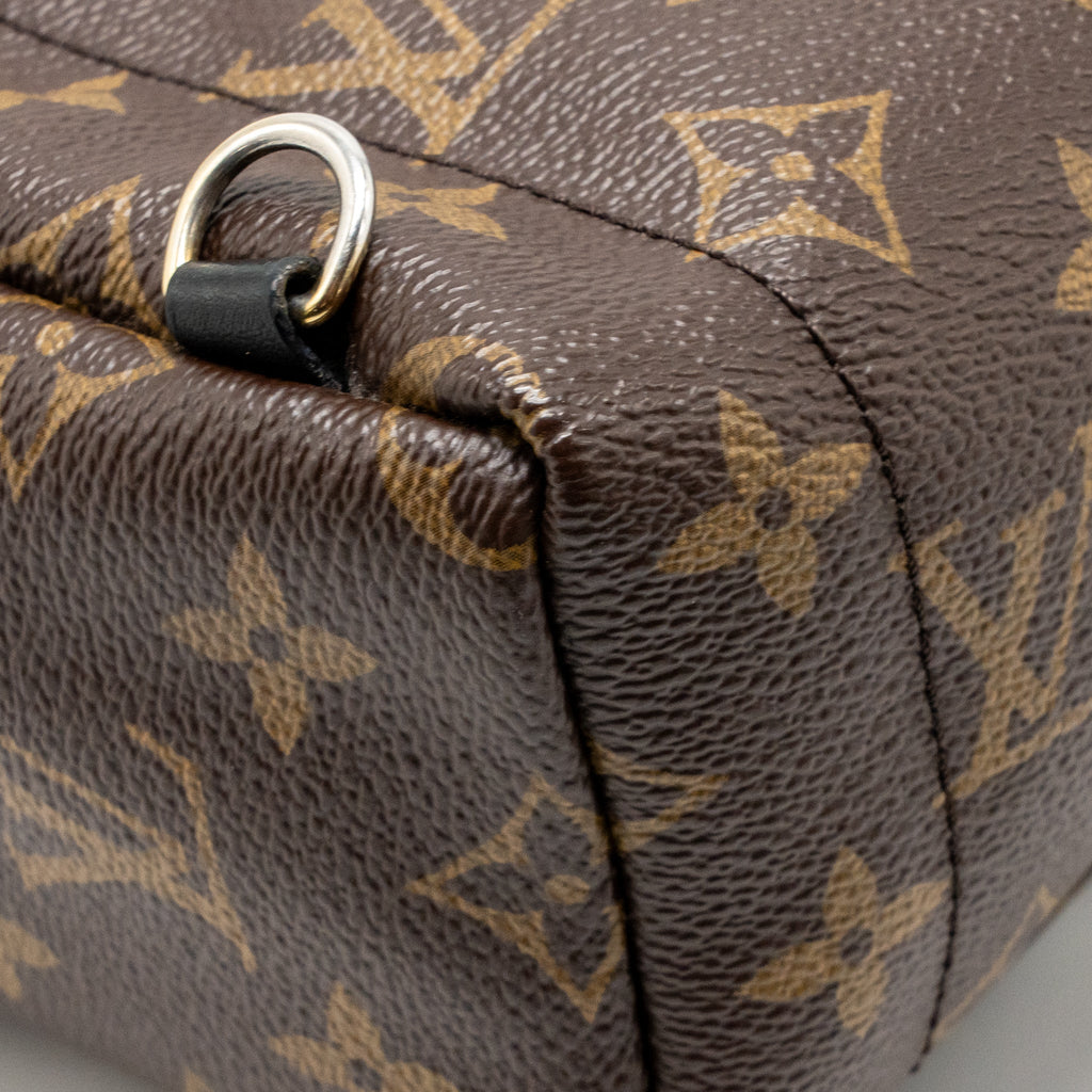 Louis Vuitton Palm Springs Mini Monogram Canvas/Leather Brown/Black GHW