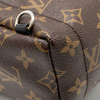 Louis Vuitton Palm Springs Mini Monogram Canvas/Leather Brown/Black GHW
