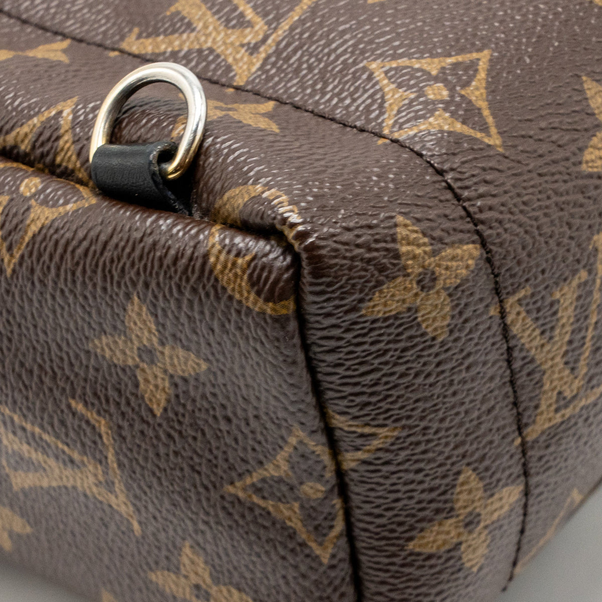 Louis Vuitton Palm Springs Mini Monogram Canvas/Leather Brown/Black GHW