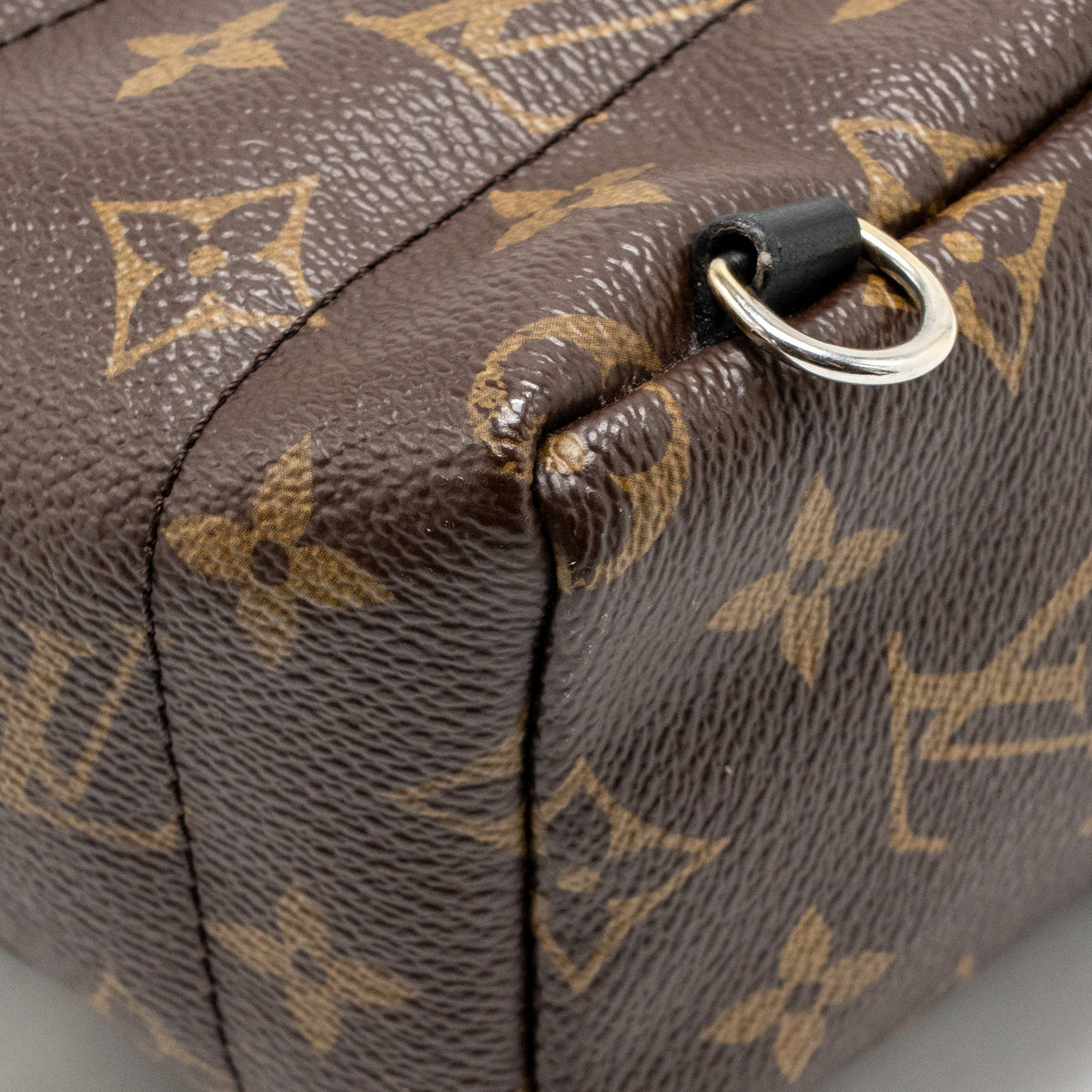 Louis Vuitton Palm Springs Mini Monogram Canvas/Leather Brown/Black GHW