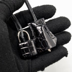 Hermes Birkin 25 Crocodile Niloticus Black SHW
