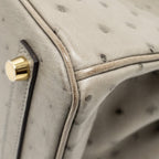 Hermes Birkin 25 Ostrich Gris Tourterelle GHW