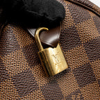 LOUIS VUITTON SPEEDY 25 DAMIER EBENE CANVAS GHW