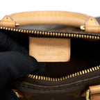 LOUIS VUITTON NANO SPEEDY MONOGRAM CANVAS