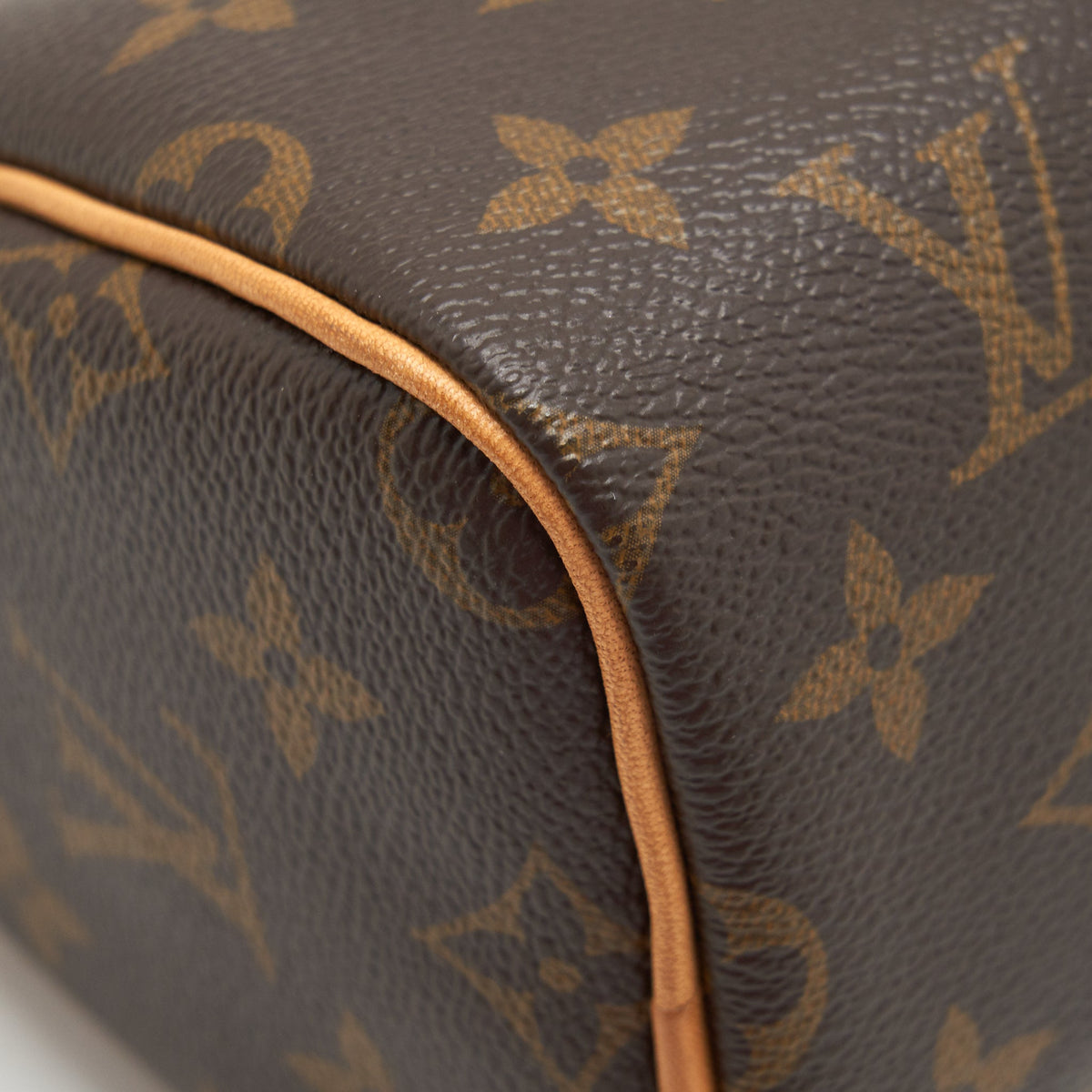 LOUIS VUITTON NANO SPEEDY MONOGRAM